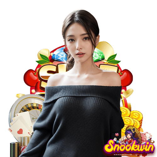 snookwin ระบบล้ำสมัย